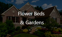 Flower Beds & Gardens