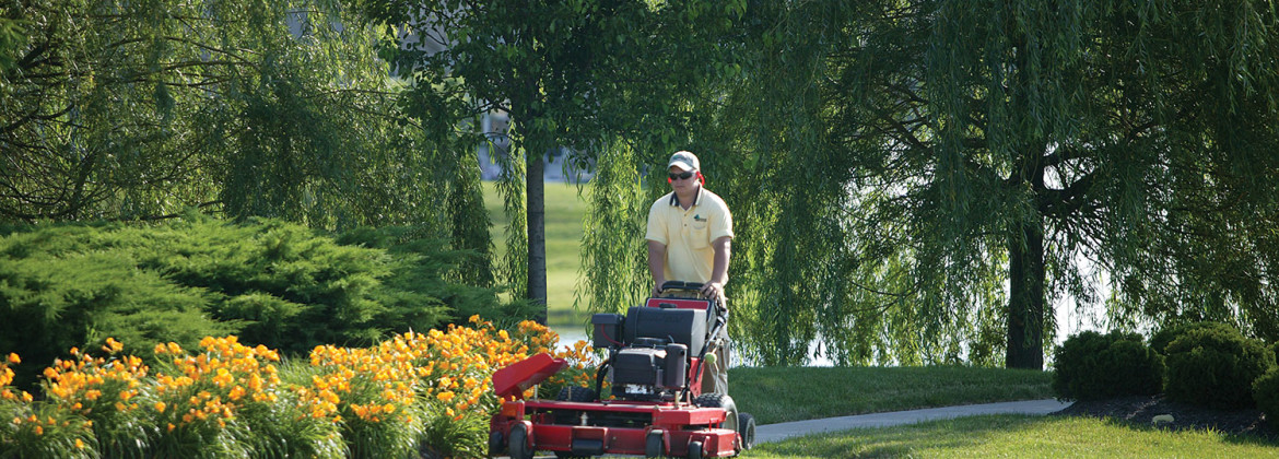 Healthy Mowing: Maintenance Advice