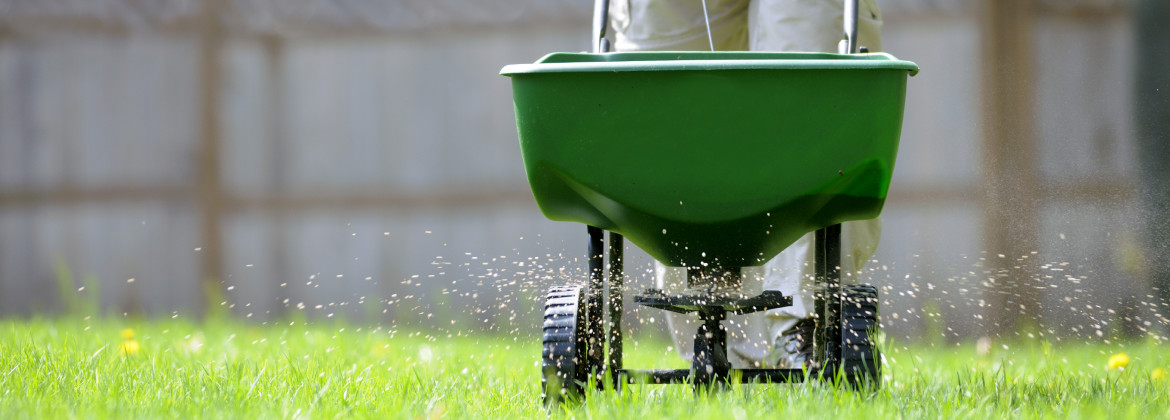 Four Simple Things to Do For Your Yard This Summer